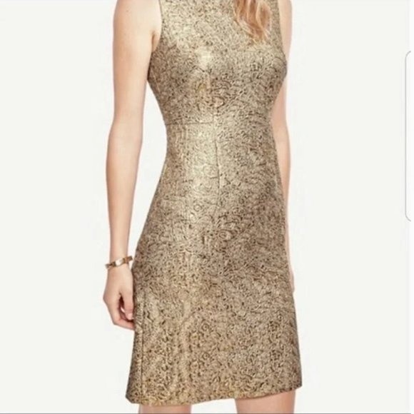 NWT ANN TAYLOR METALLIC GOLD JACQUARD TANK COCKTAIL MINI DRESS SIZE 4 - Picture 1 of 9